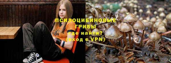 круглые Вязники