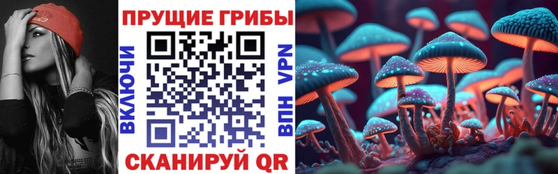 магазин продажи наркотиков  Заречный  Псилоцибиновые грибы Psilocybe 