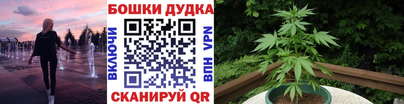 Конопля индика  Заречный 